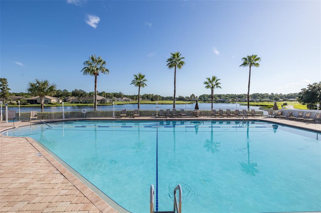 1710 Lakestone Drive Trinity, FL 34655 - Photo 46 of 82