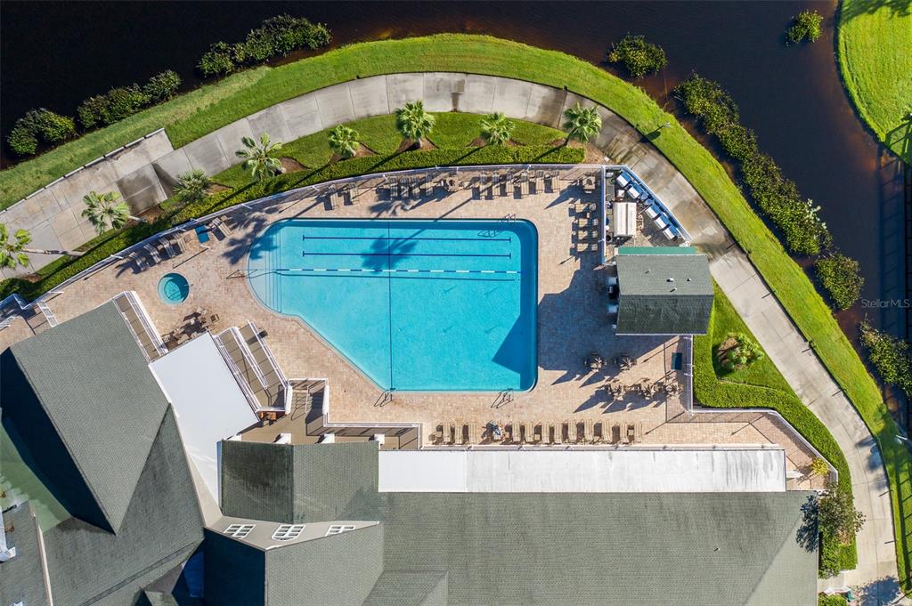 1710 Lakestone Drive Trinity, FL 34655 - Photo 70 of 82