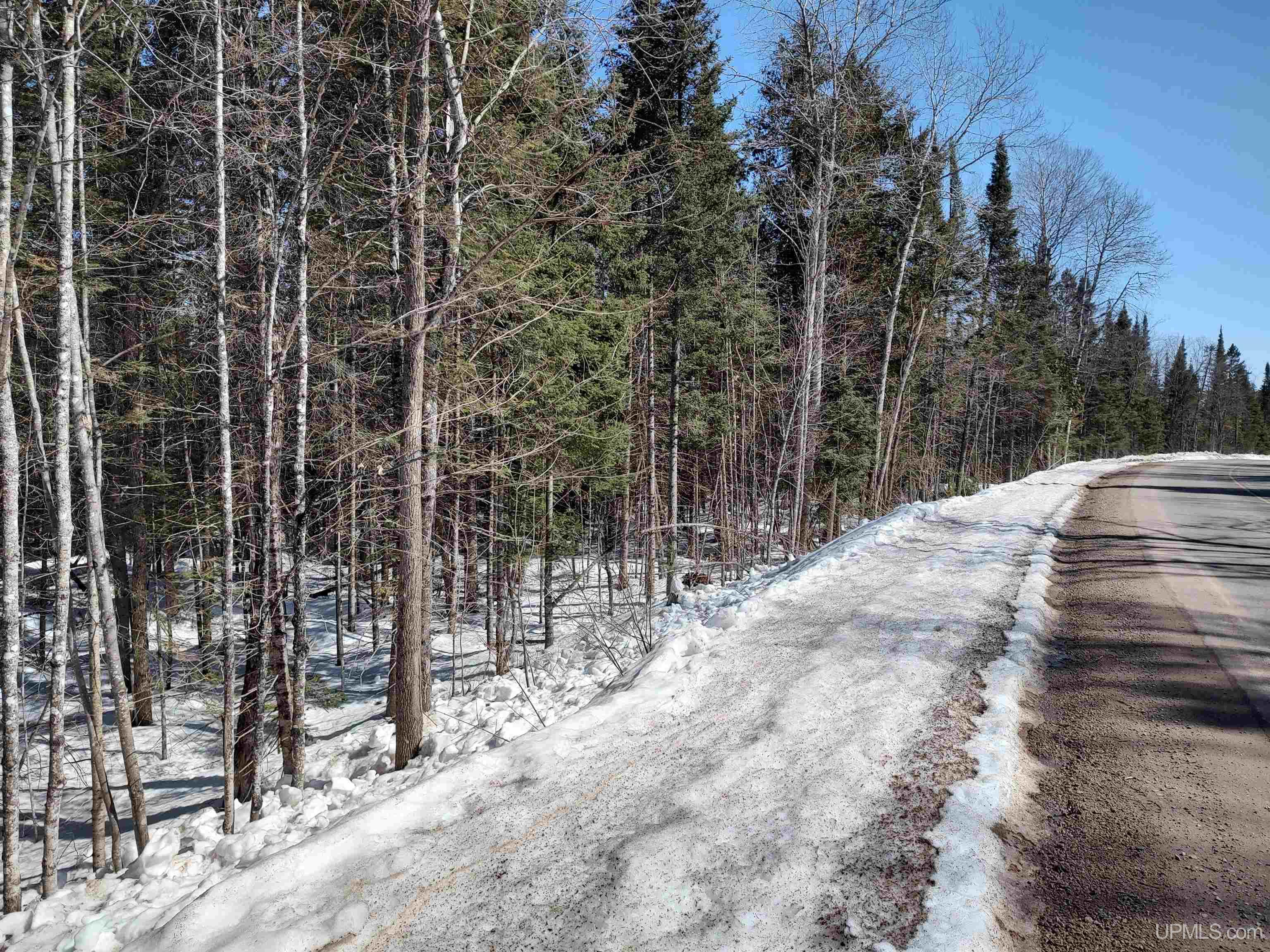 40-acres Little Lake Road Gwinn, MI 49841 - Photo 23 of 25