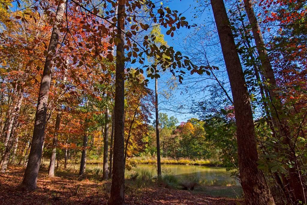 1180 Mill Road Hinton, WV 25951 - Photo 69 of 93 Gallery Image 69