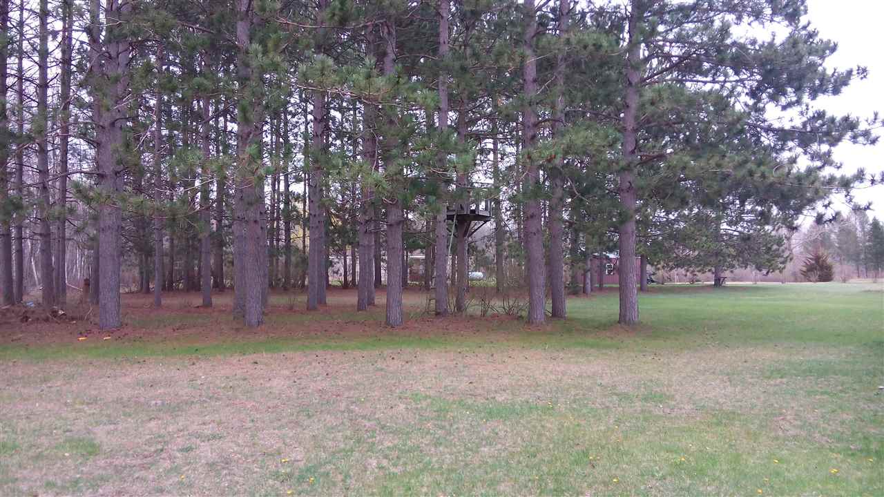 4440 Rupprecht Road Vassar, MI 48768 - Photo 12 of 13