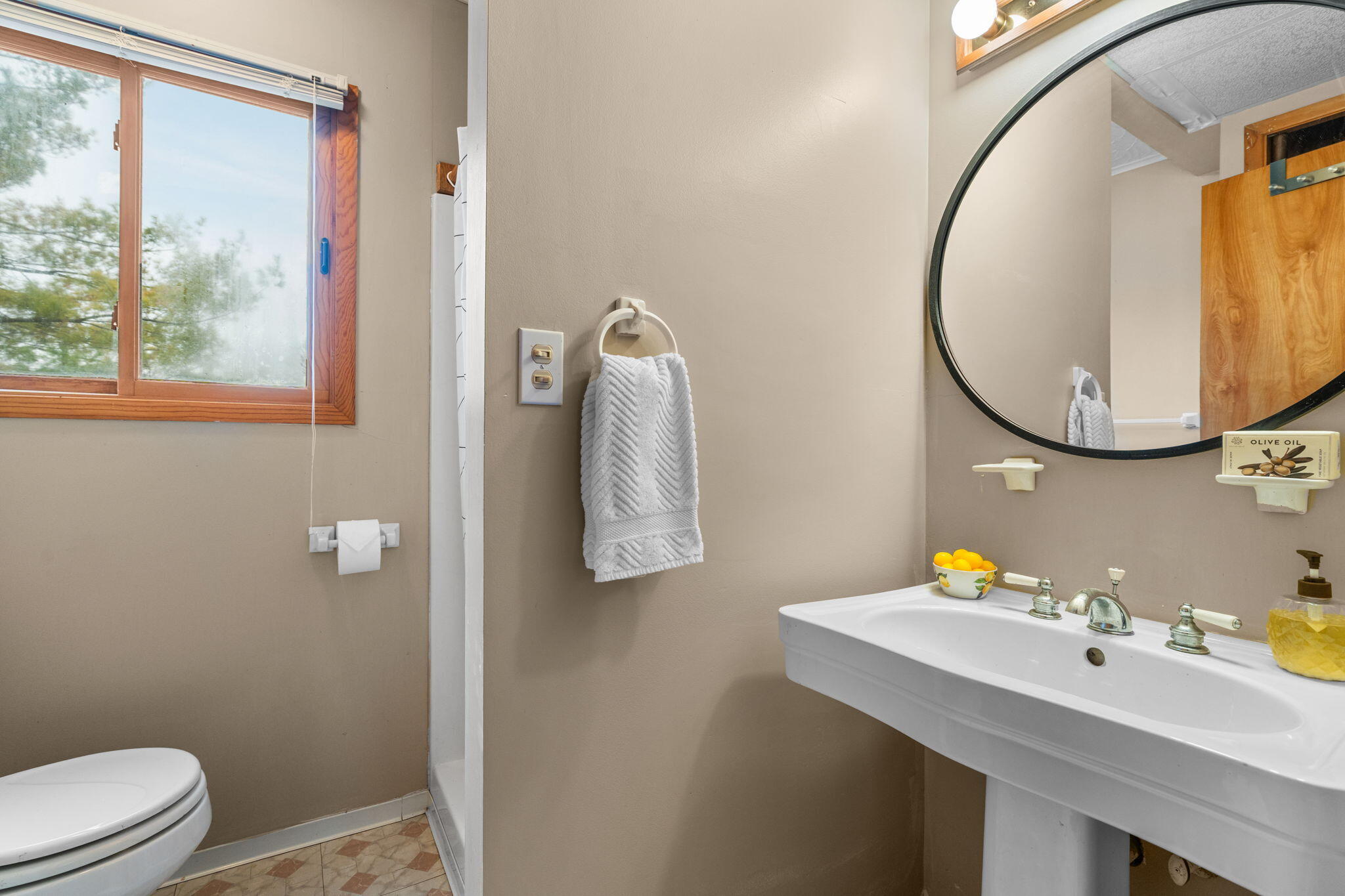 11247 Colony Pinckney, MI 48169 - Photo 35 of 60 71-web-or-mls-DSC00257