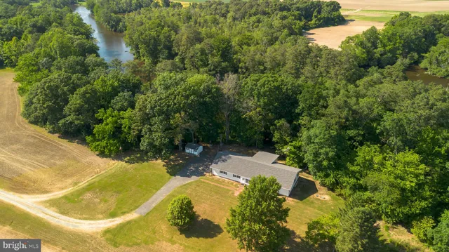 a view of a swimming pool with a yard and large trees