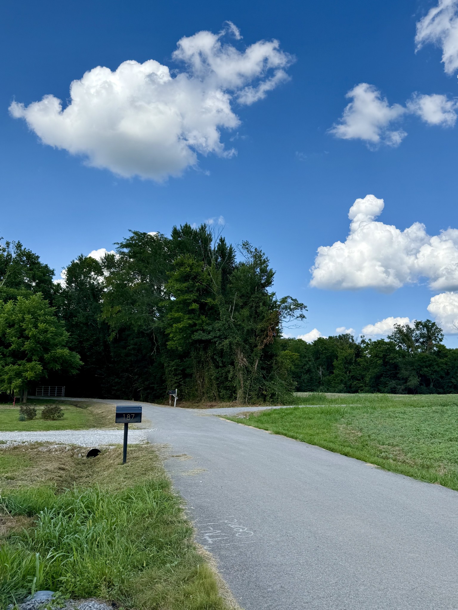 165 Perdue Cemetery Road Portland, TN 37148 - Photo 4 of 5