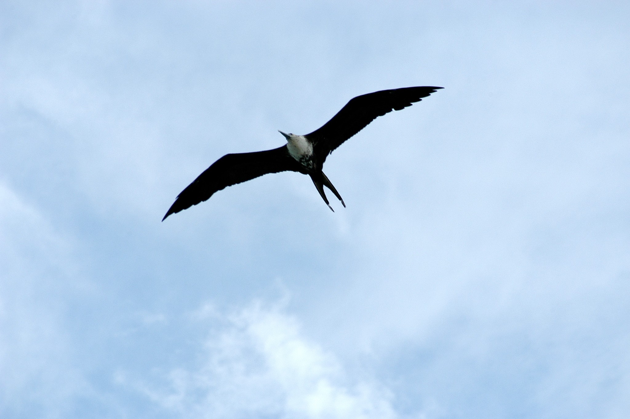 165 Perdue Cemetery Road Portland, TN 37148 - Photo 5 of 5 a view of a painting of a wall