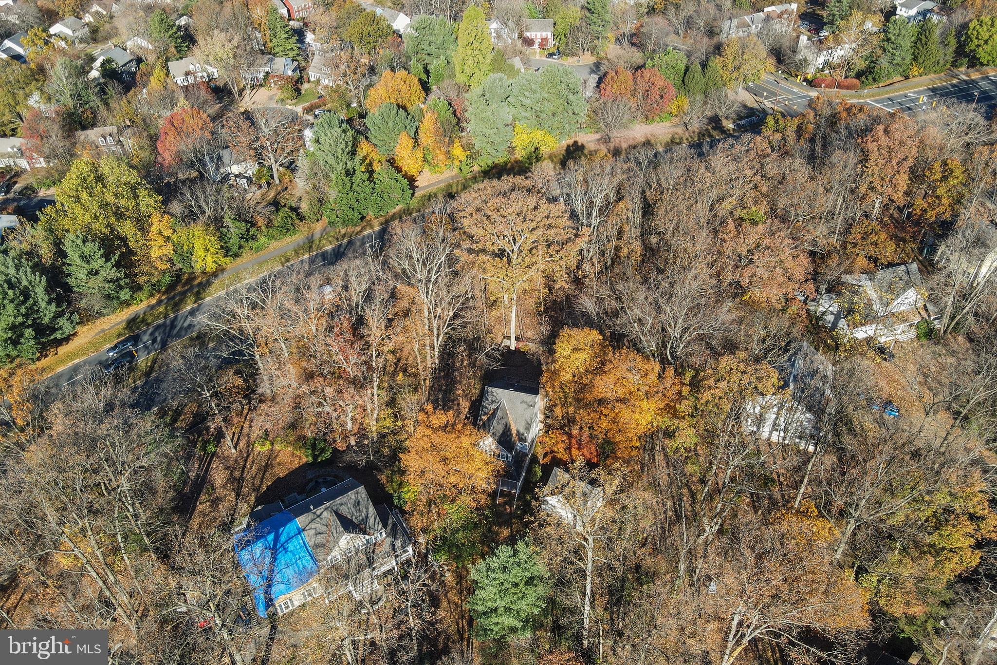 1604 Stowe Road Reston, VA 20194 - Photo 15 of 18 Park like backyard