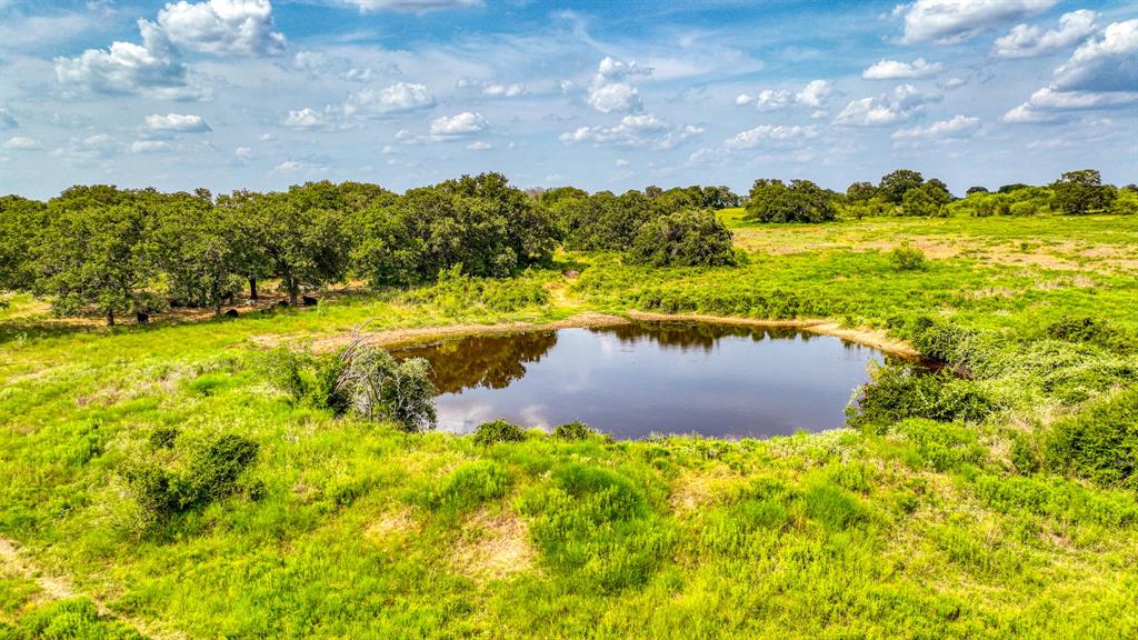 11500 Bowden Road Lipan, TX 76462 - Photo 4 of 32 a view of a lake with houses in the back