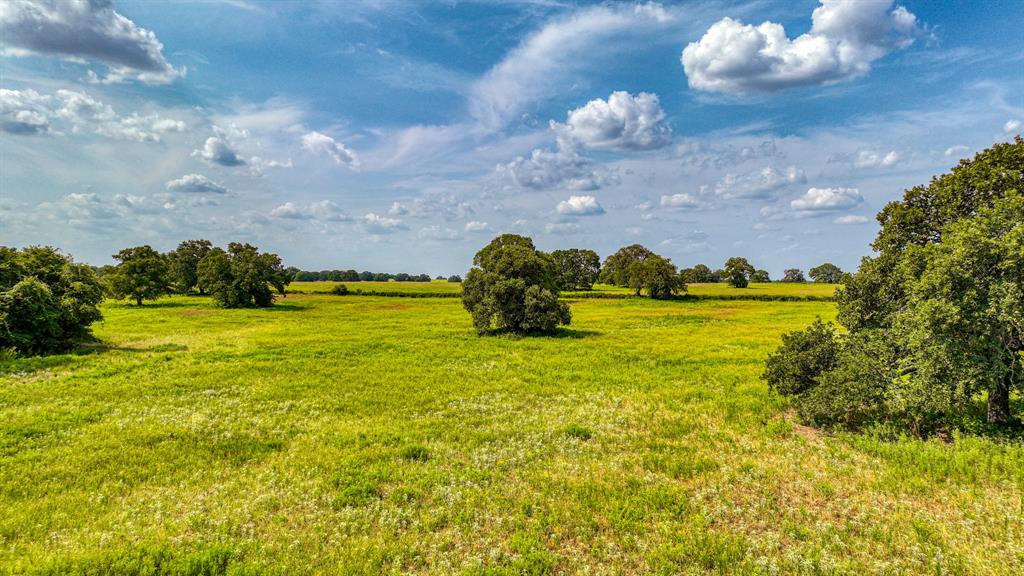 11500 Bowden Road Lipan, TX 76462 - Photo 5 of 32 a swimming pool and trees in the background