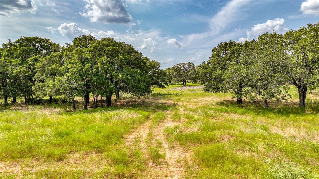 11500 Bowden Road Lipan, TX 76462 - Photo 10 of 32 a view of yard with green space