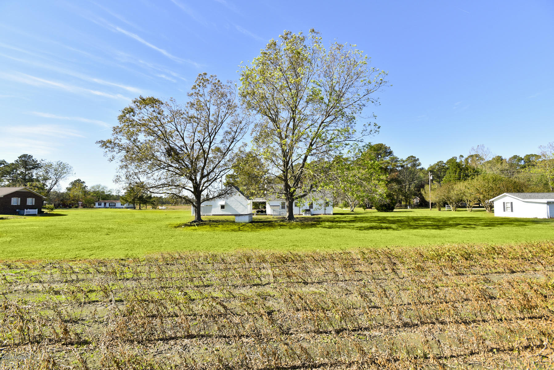 409 Edwards Road Beulaville, NC 28518 - Photo 7 of 41 058 Backyard