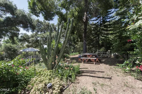 a view of a bench in a backyard