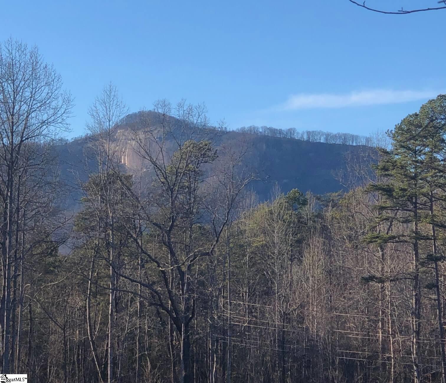 Rockcrest Road Cleveland, SC 29635 - Photo 2 of 19