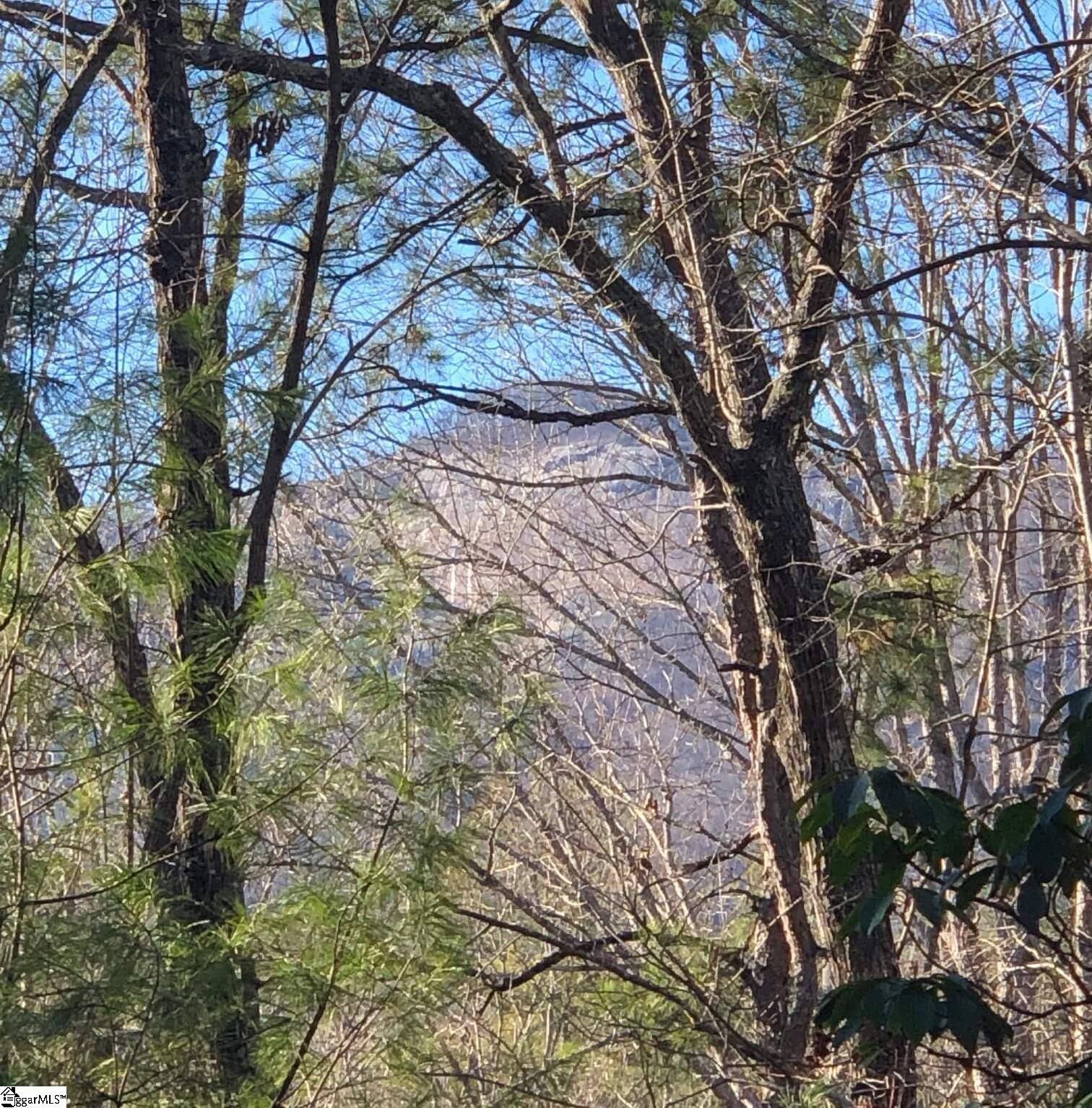 Rockcrest Road Cleveland, SC 29635 - Photo 5 of 19