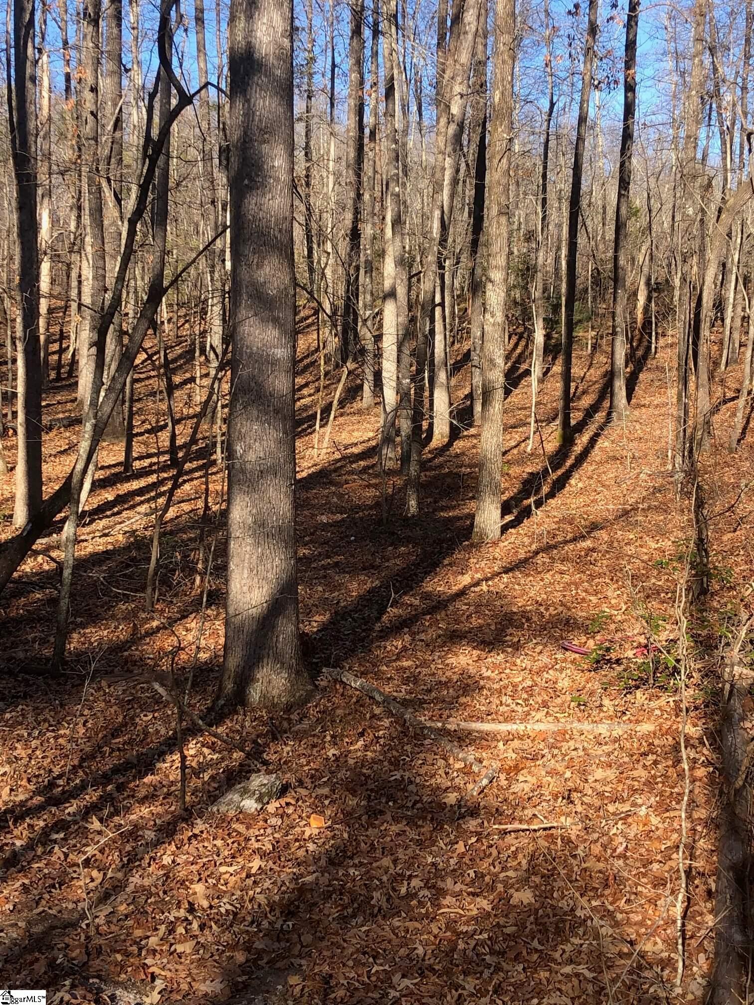 Rockcrest Road Cleveland, SC 29635 - Photo 6 of 19