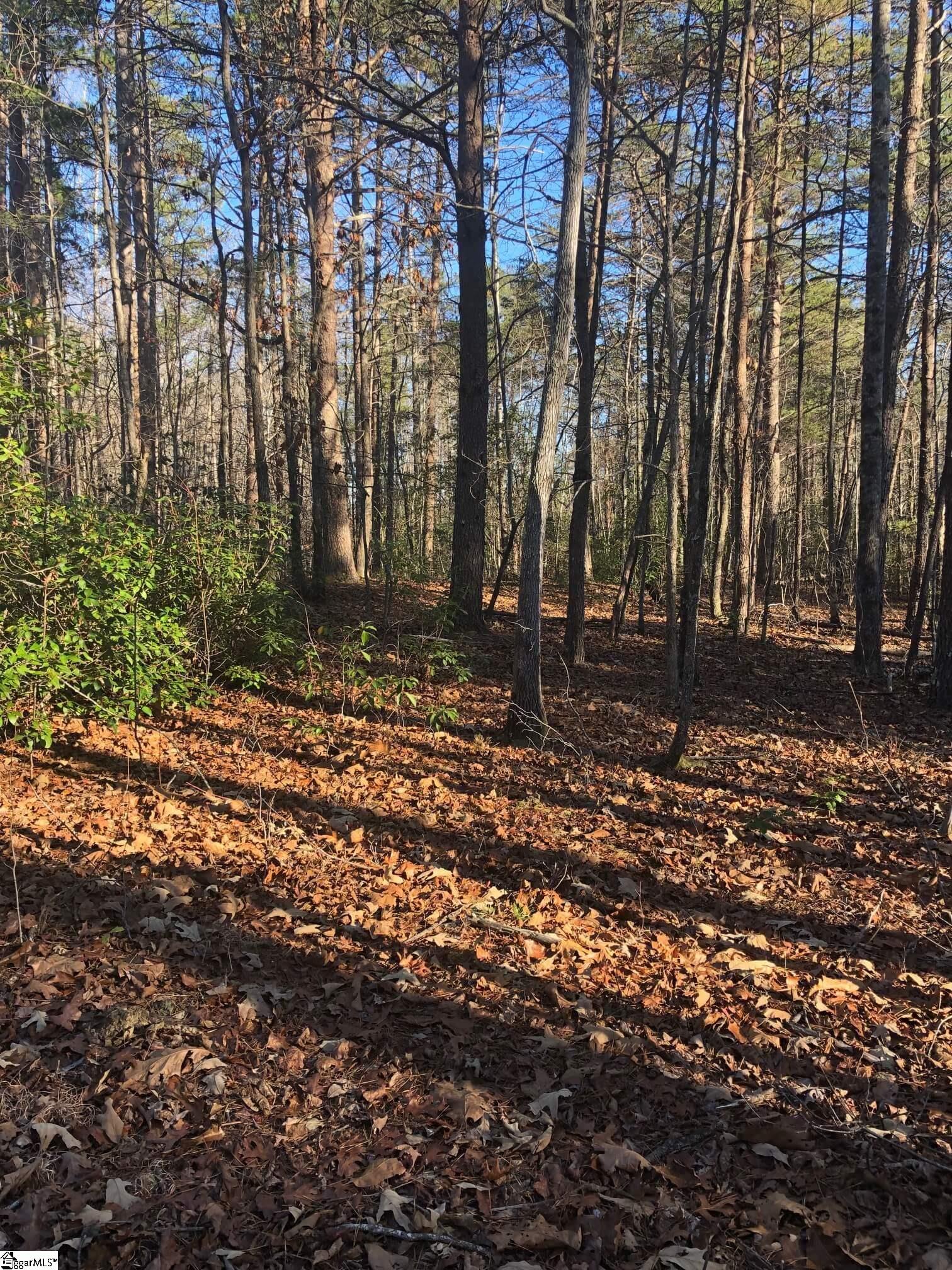 Rockcrest Road Cleveland, SC 29635 - Photo 8 of 19