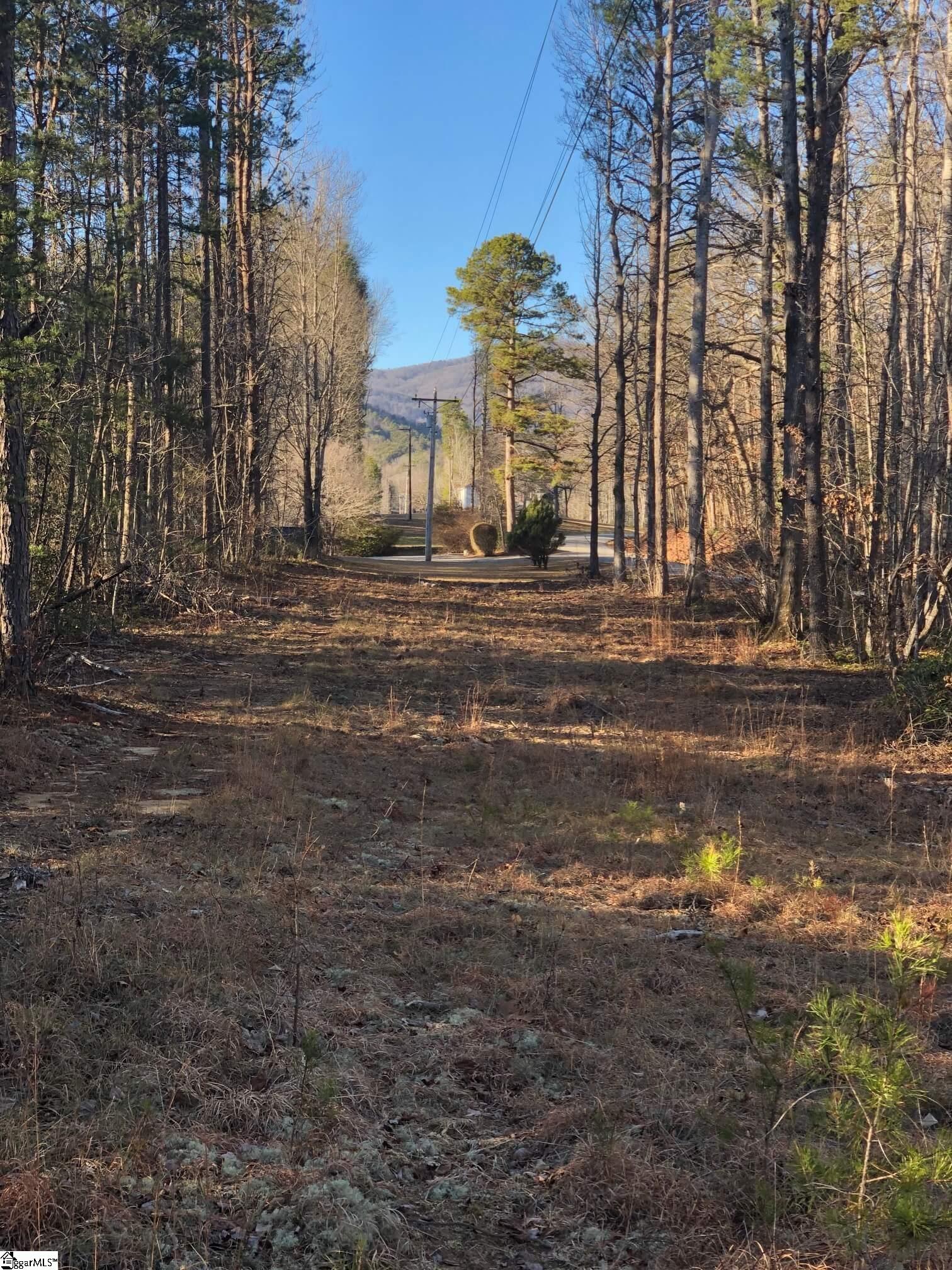 Rockcrest Road Cleveland, SC 29635 - Photo 9 of 19
