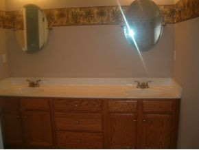 237 Reed Avenue Greeneville, TN 37743 - Photo 7 of 9 Master Bathroom