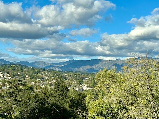 6287 Pine Crest Drive Los Angeles, CA 90042 - Photo 63 of 64 IMG_1328