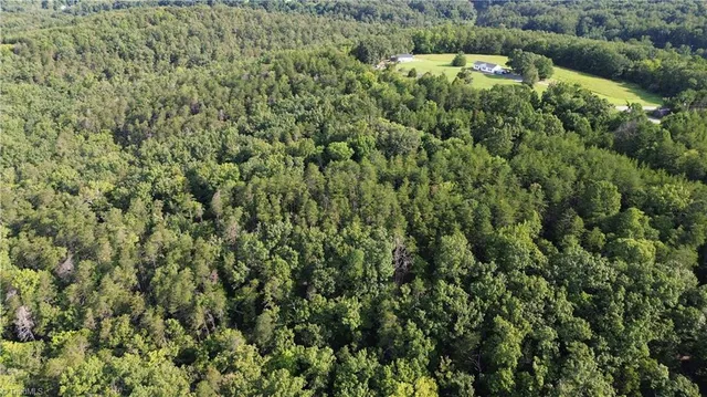 $142,500 | 0 Hanging Rock Forest Road, Unit TRACT F (11 4 AC), Danbury, NC 27016