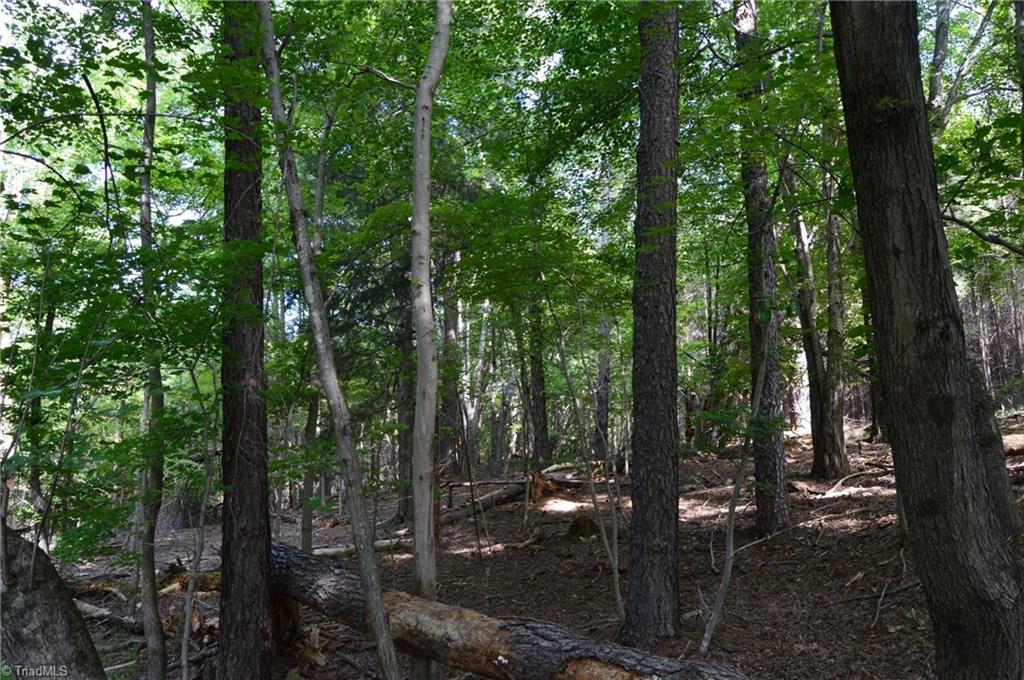 0 Hanging Rock Forest Road, Unit TRACT F (11 4 AC) Danbury, NC 27016 - Photo 3 of 17