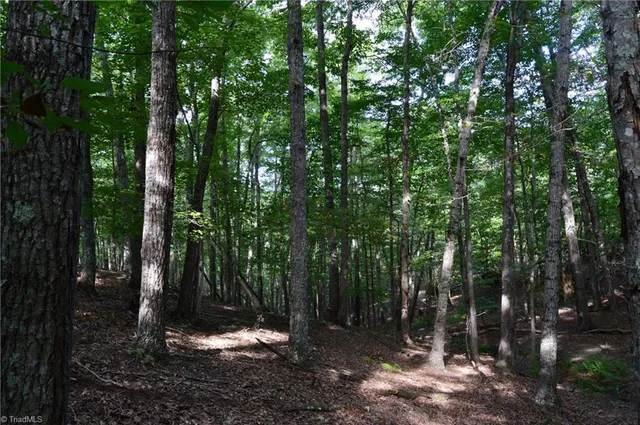 $142,500 | 0 Hanging Rock Forest Road, Unit TRACT F (11 4 AC), Danbury, NC 27016