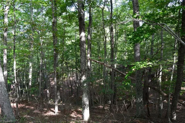 $142,500 | 0 Hanging Rock Forest Road, Unit TRACT F (11 4 AC), Danbury, NC 27016