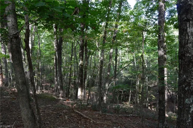 $142,500 | 0 Hanging Rock Forest Road, Unit TRACT F (11 4 AC), Danbury, NC 27016