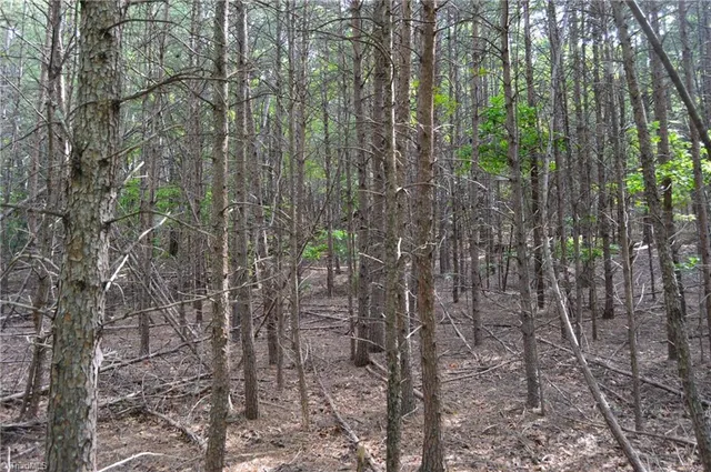 $142,500 | 0 Hanging Rock Forest Road, Unit TRACT F (11 4 AC), Danbury, NC 27016