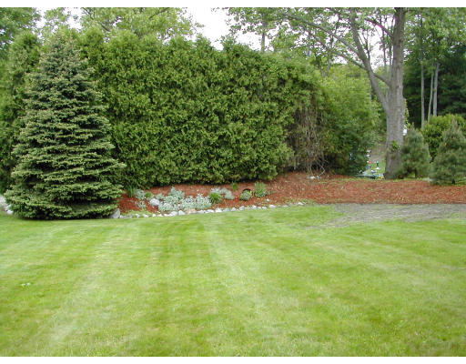 221 Conant Road Westwood, MA 02090 - Photo 3 of 6 Gallery Image 3