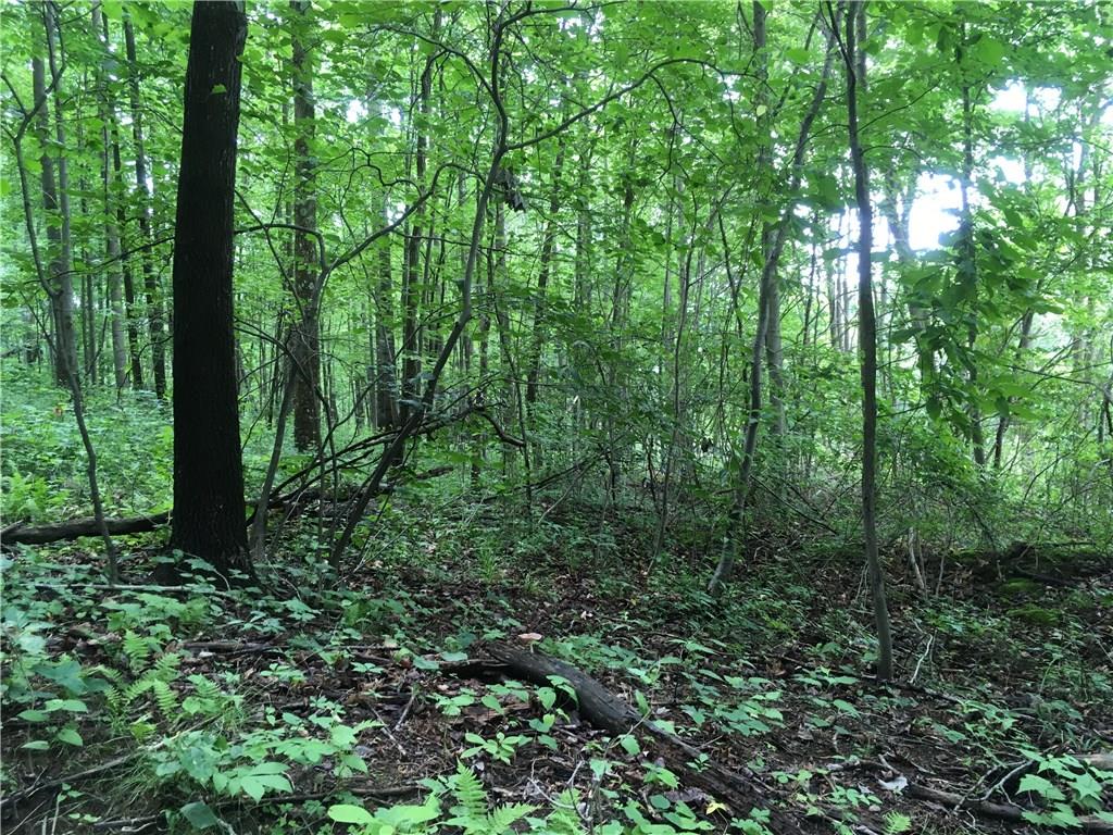 0 Firetower Road Confluence, PA 15424 - Photo 1 of 21