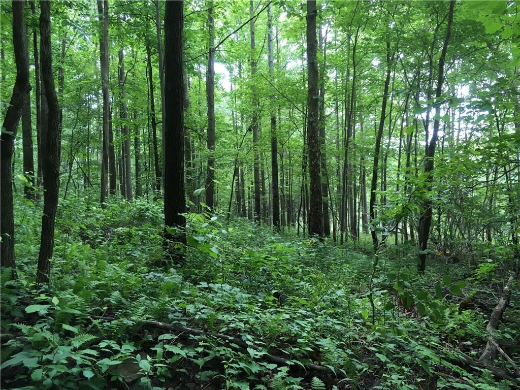0 Firetower Road Confluence, PA 15424 - Photo 2 of 21