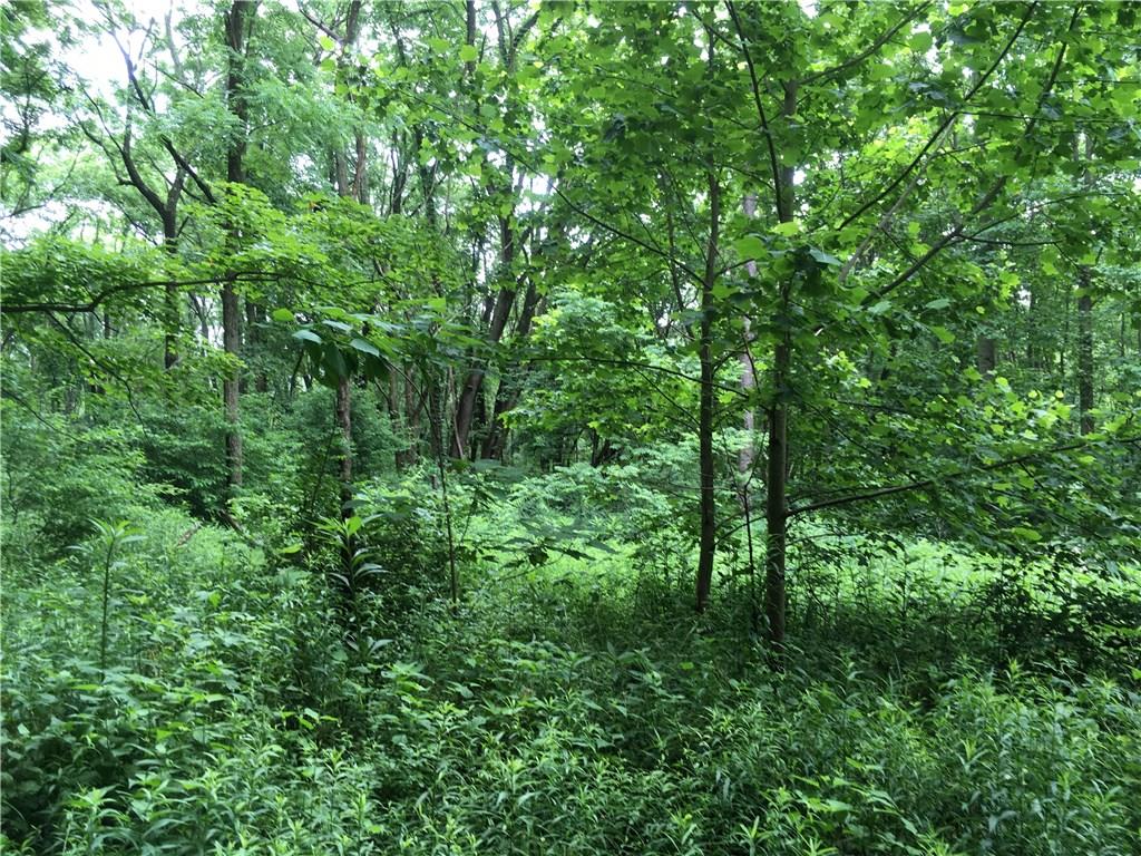 0 Firetower Road Confluence, PA 15424 - Photo 12 of 21