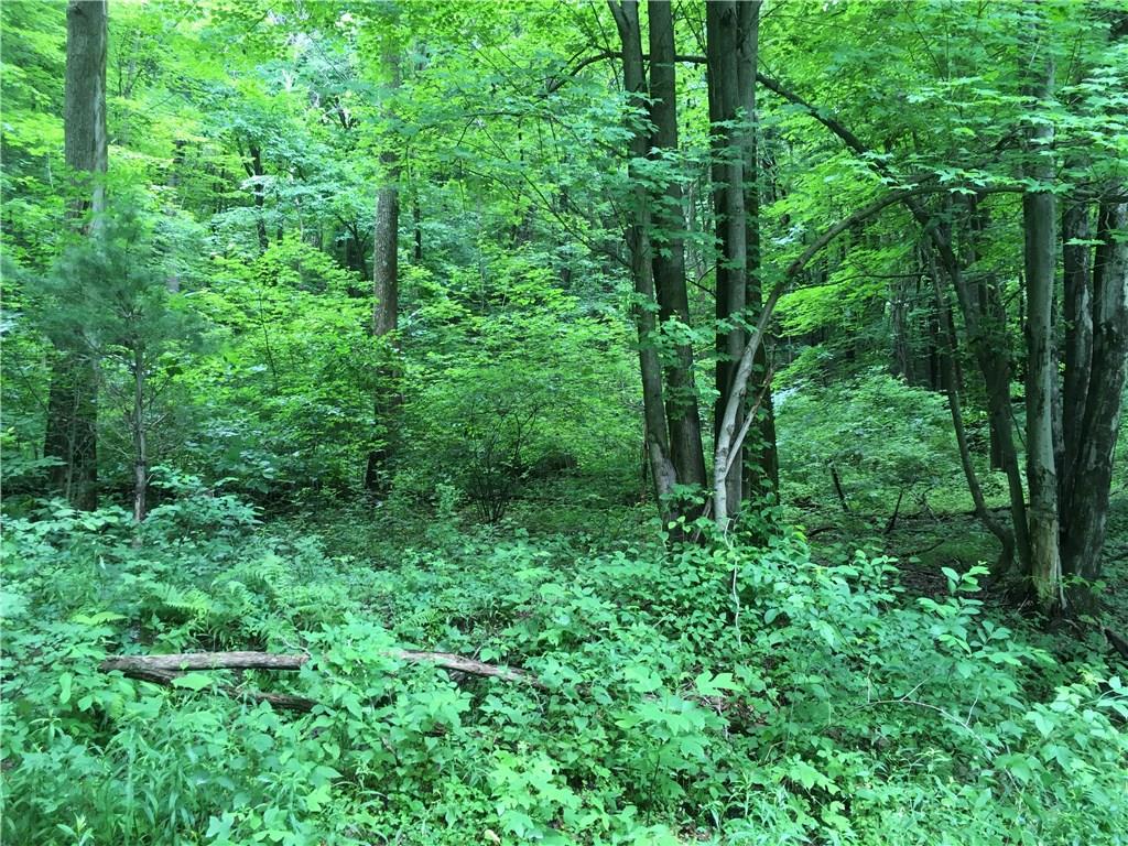 0 Firetower Road Confluence, PA 15424 - Photo 14 of 21