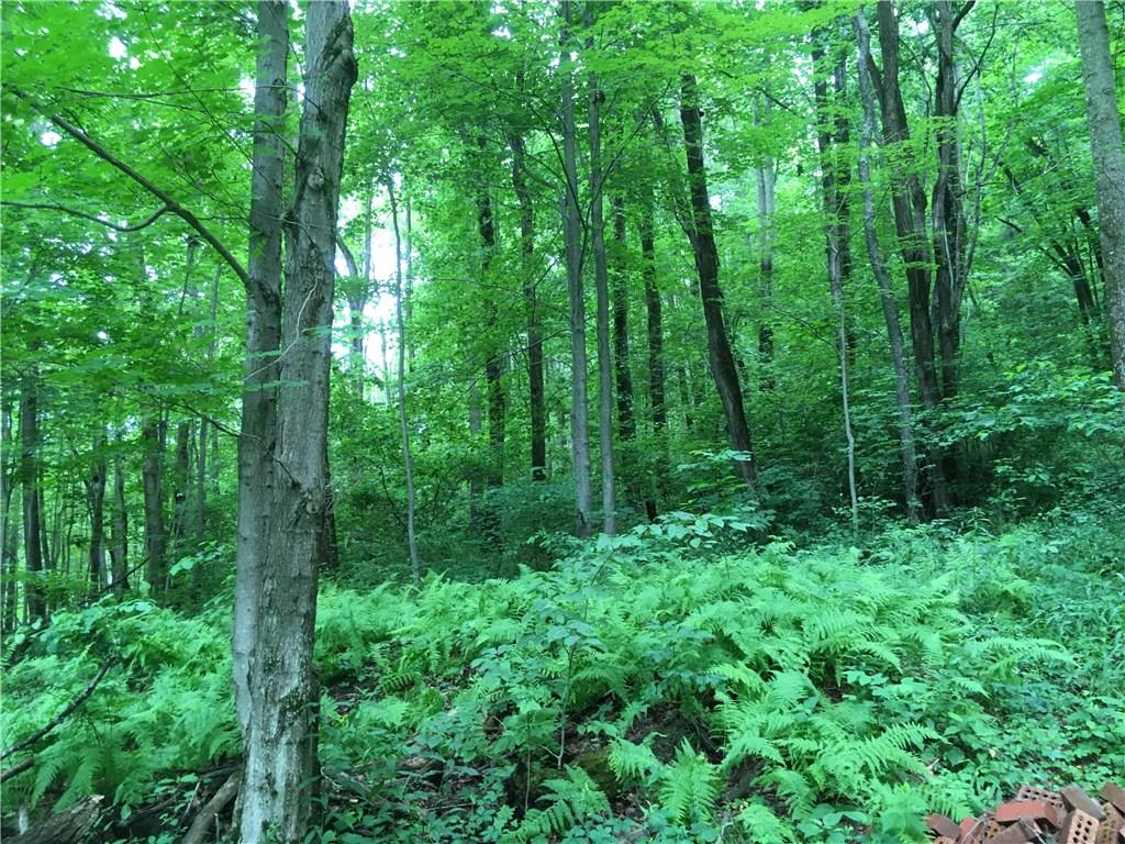 0 Firetower Road Confluence, PA 15424 - Photo 15 of 21