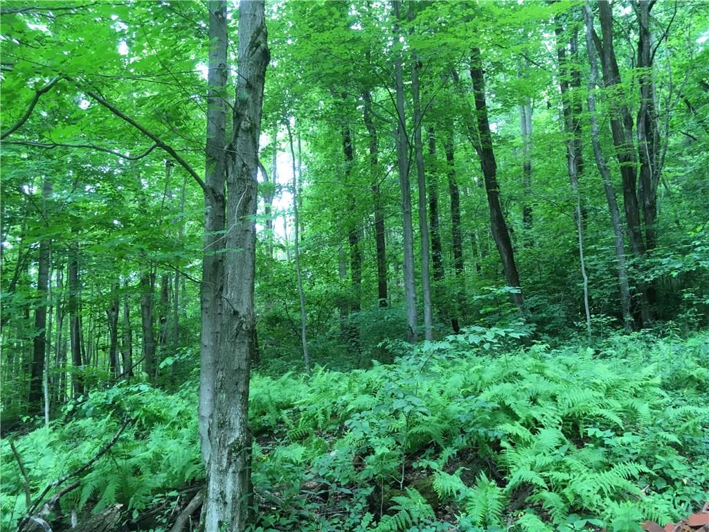0 Firetower Road Confluence, PA 15424 - Photo 16 of 21