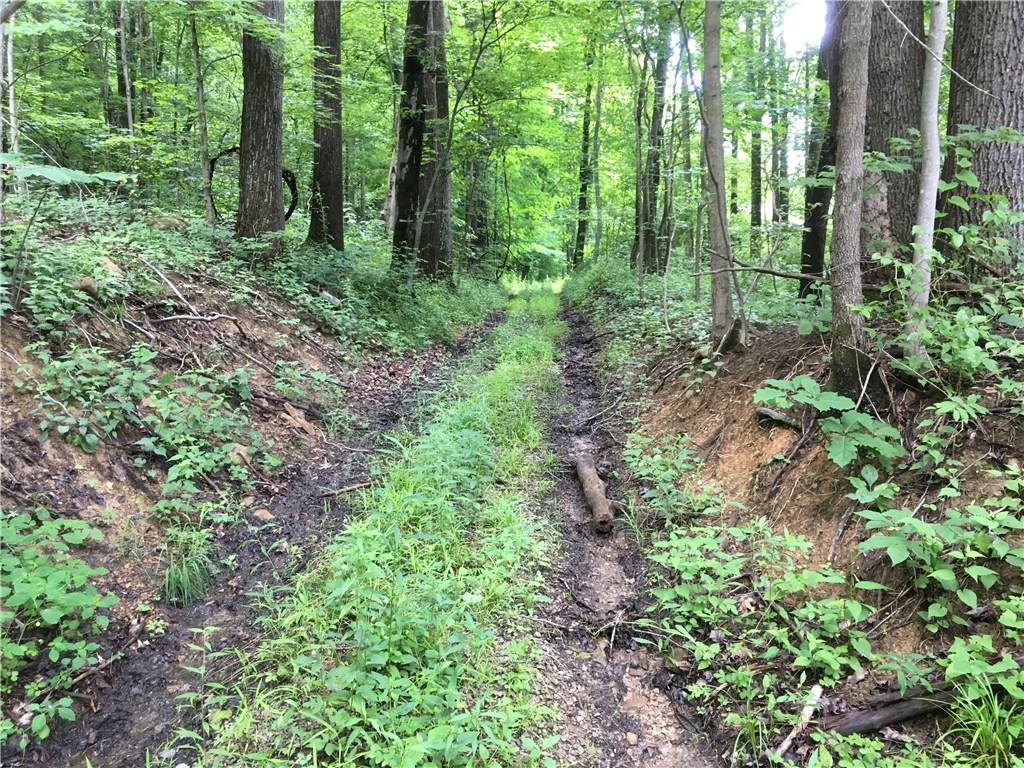 0 Firetower Road Confluence, PA 15424 - Photo 17 of 21