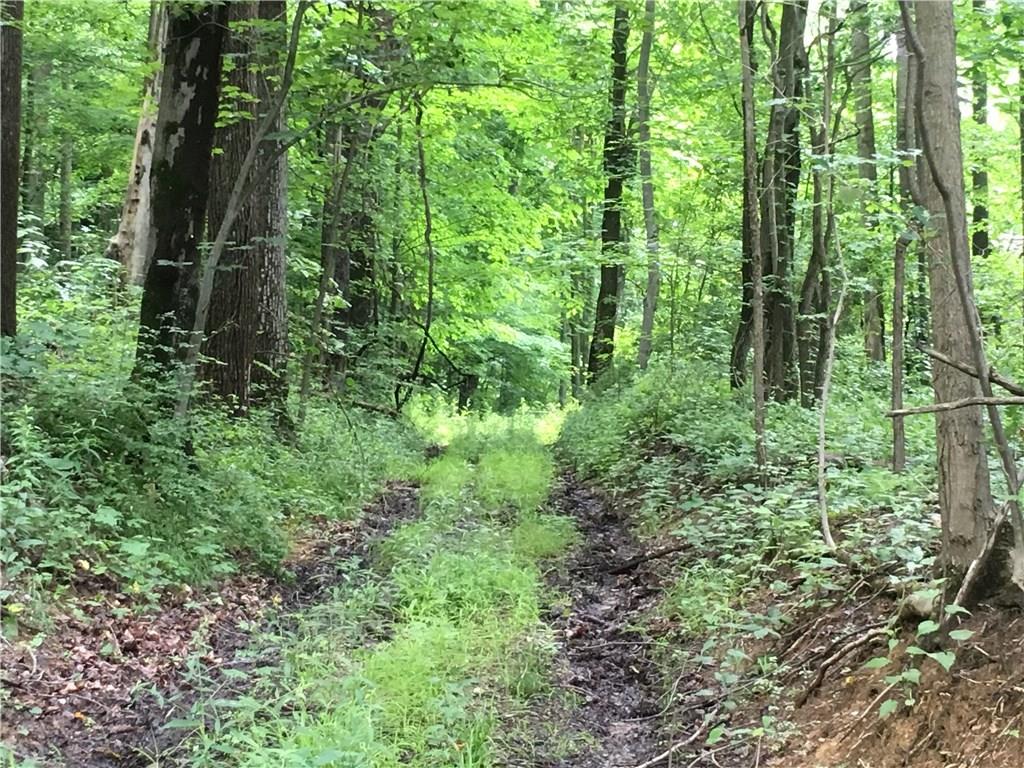 0 Firetower Road Confluence, PA 15424 - Photo 18 of 21