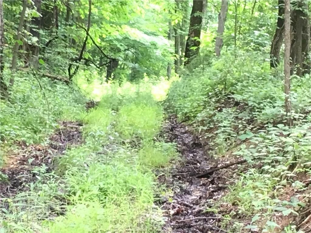 0 Firetower Road Confluence, PA 15424 - Photo 19 of 21