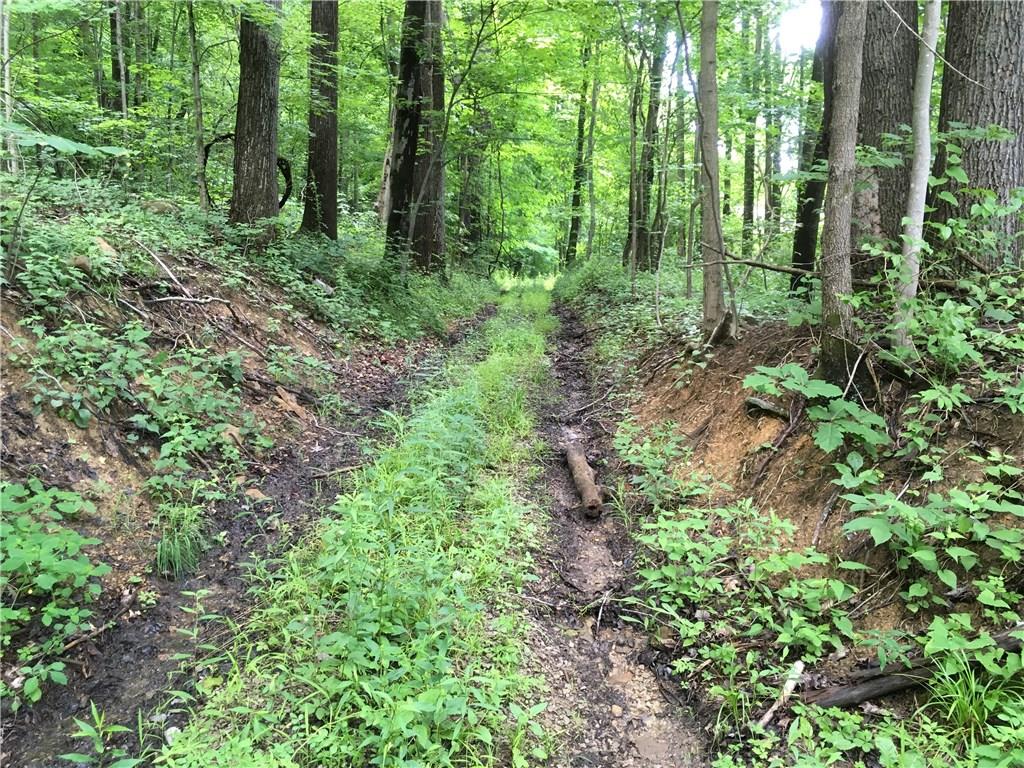 0 Firetower Road Confluence, PA 15424 - Photo 20 of 21