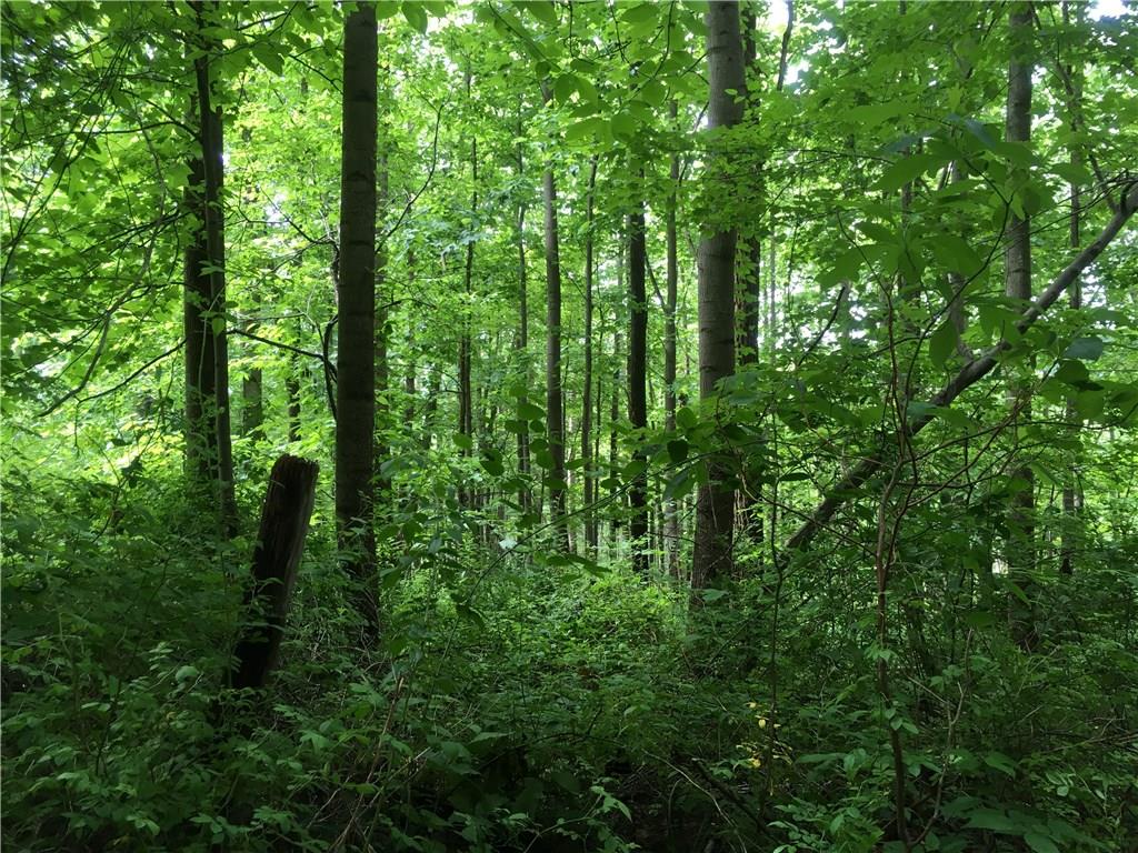0 Firetower Road Confluence, PA 15424 - Photo 3 of 21