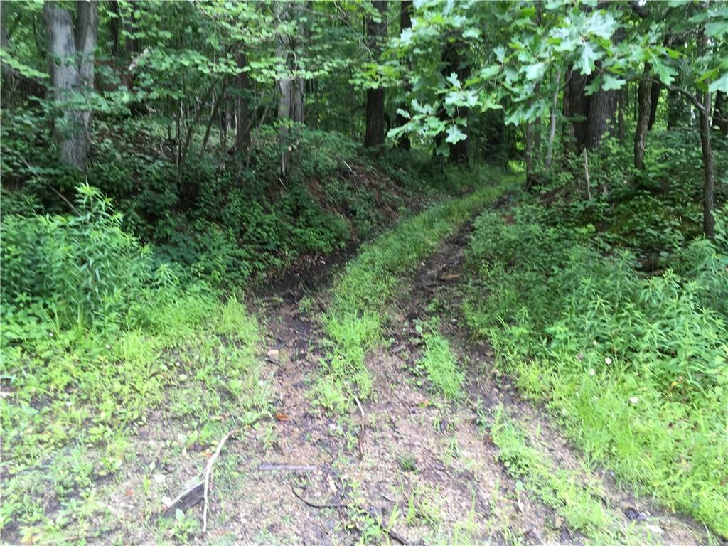 0 Firetower Road Confluence, PA 15424 - Photo 21 of 21