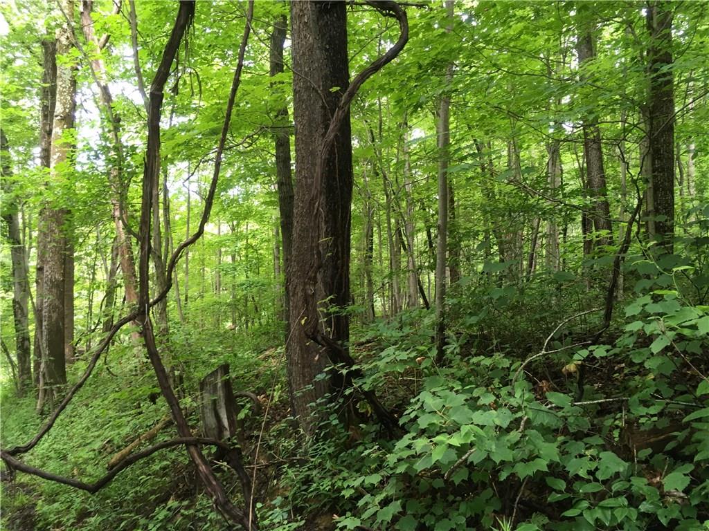 0 Firetower Road Confluence, PA 15424 - Photo 4 of 21