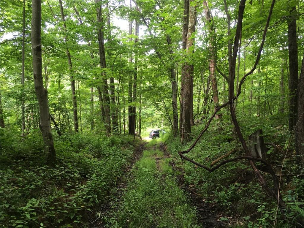 0 Firetower Road Confluence, PA 15424 - Photo 5 of 21