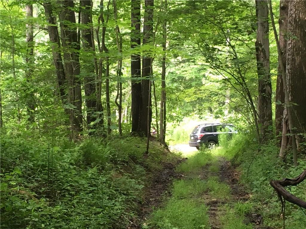 0 Firetower Road Confluence, PA 15424 - Photo 6 of 21