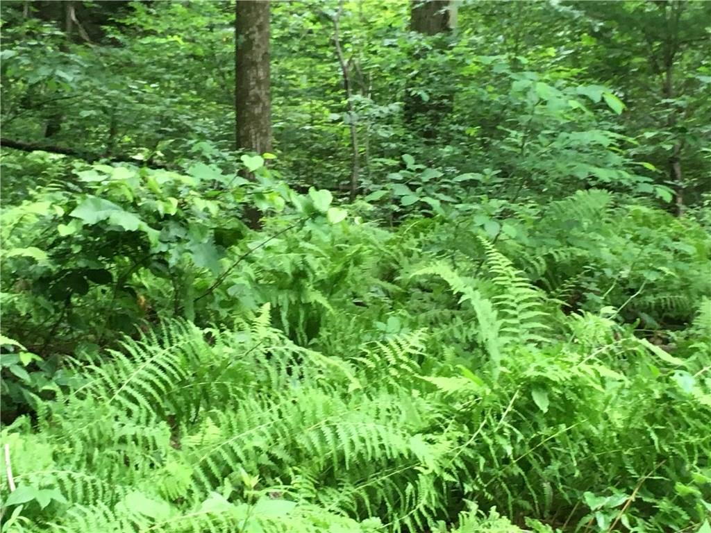 0 Firetower Road Confluence, PA 15424 - Photo 7 of 21