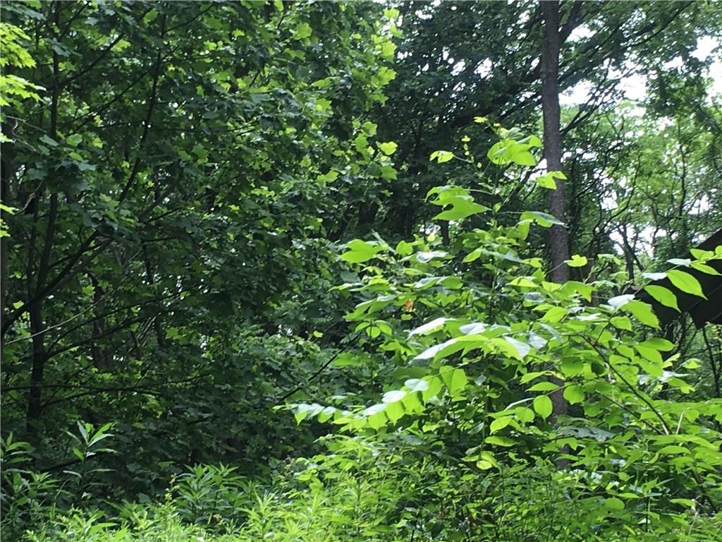 0 Firetower Road Confluence, PA 15424 - Photo 8 of 21