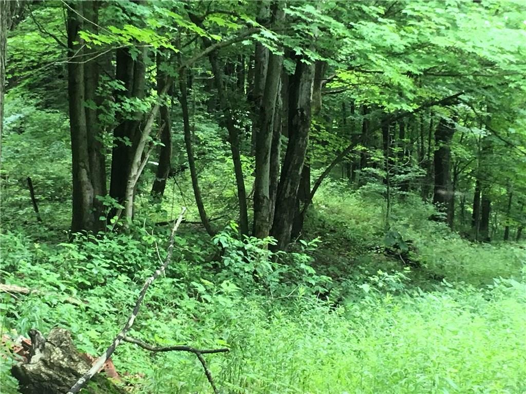 0 Firetower Road Confluence, PA 15424 - Photo 9 of 21