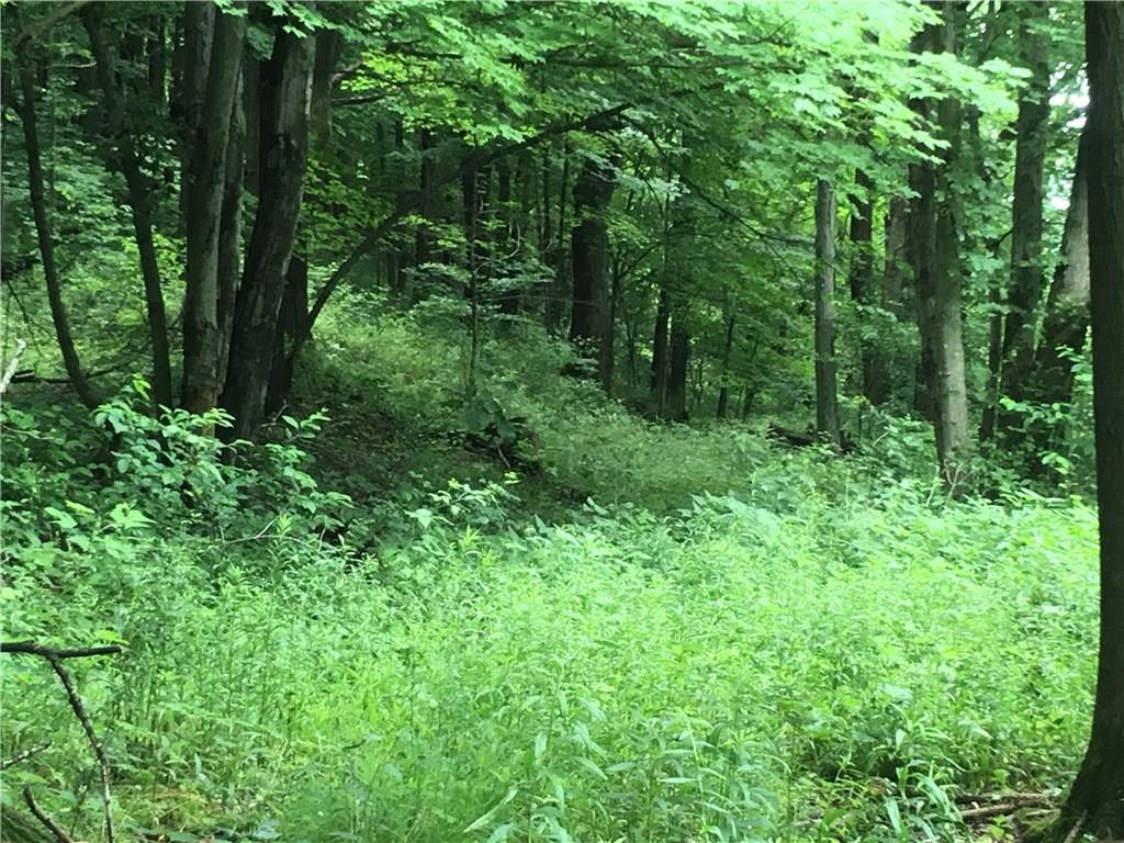 0 Firetower Road Confluence, PA 15424 - Photo 10 of 21