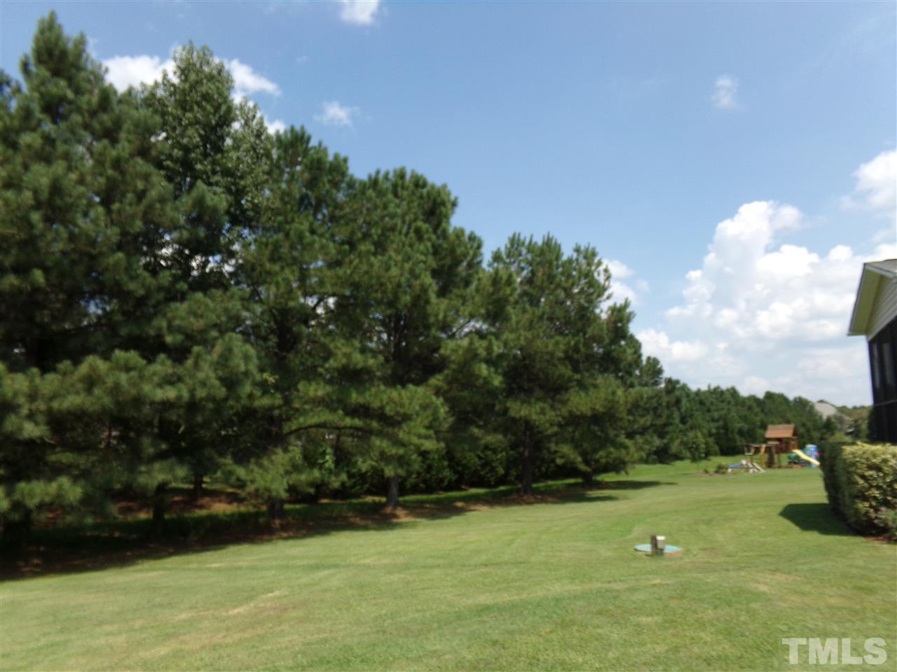 46 Islan Court Willow Spring, NC 27592 - Photo 22 of 25 Gallery Image 22