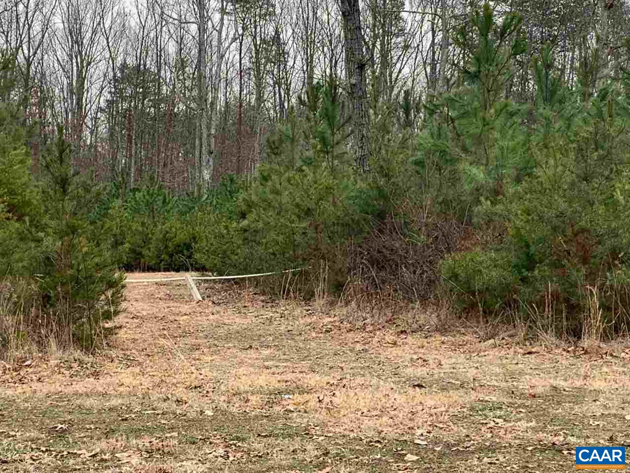 1 Paddock Wood Road Keswick, VA 22947 - Photo 2 of 9 a view of small yard